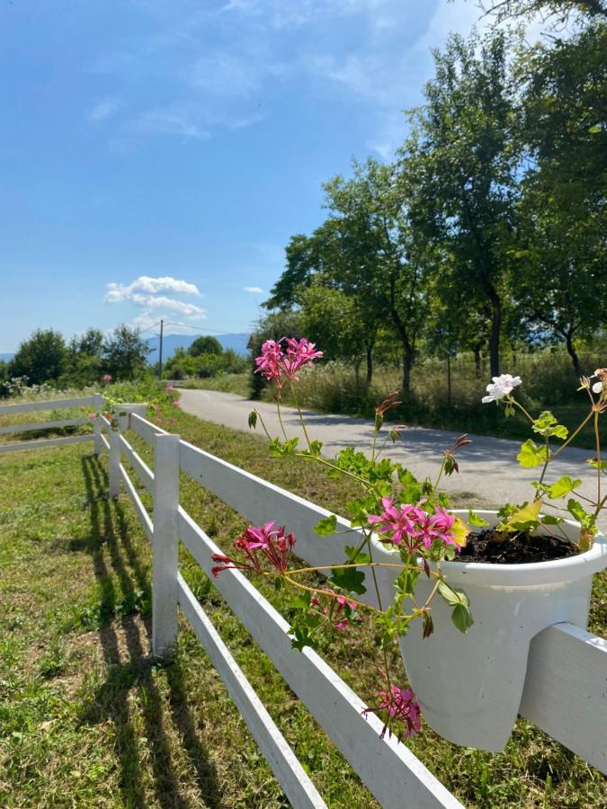 Hill House Emir Villa Bihać Екстериор снимка